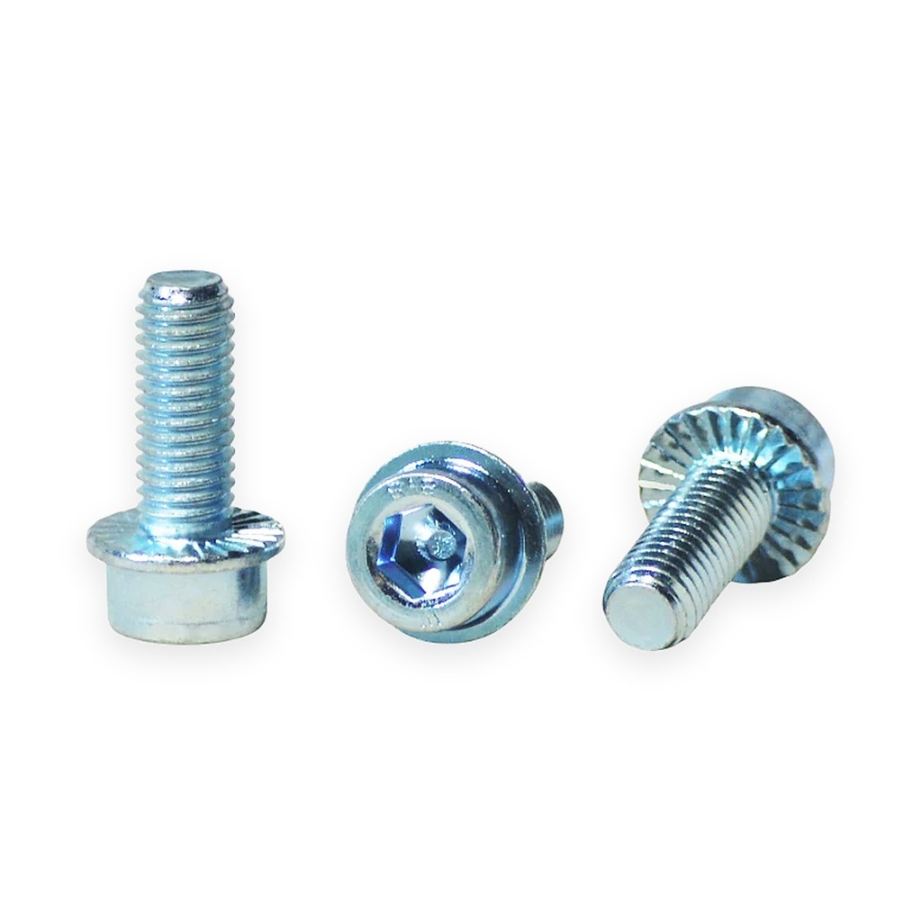 8.8 Grade Flanged Socket Screw M10