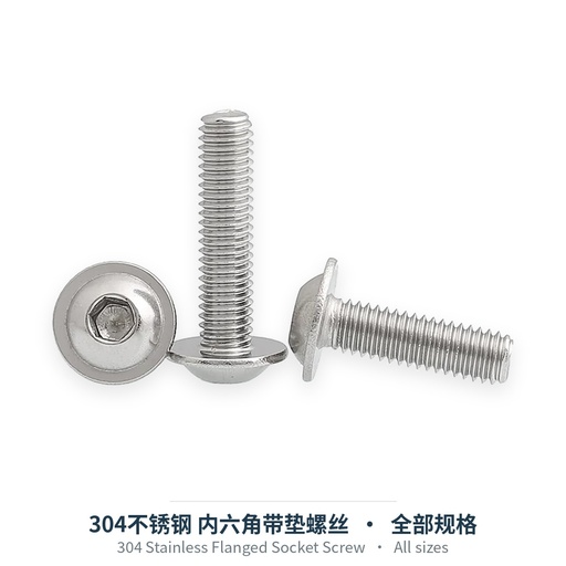 304 Stainless Flanged Socket Screw (Button Flange / DIN251)